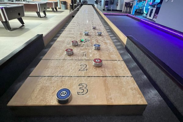 Professional Shuffleboard Table